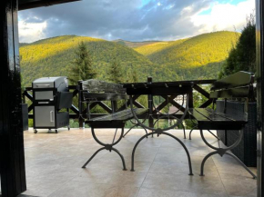 The Nest Sinaia